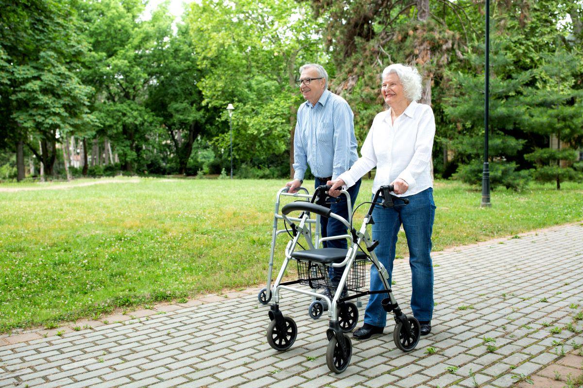 Mobility aids — wheelchairs, walkers, rollators, and canes